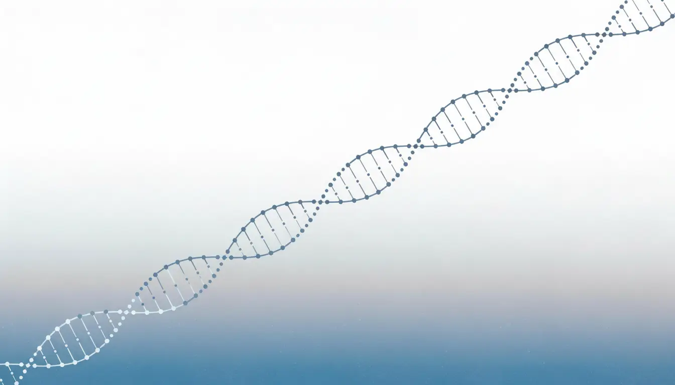 当店はあなたの元気と若々しさを応援しています